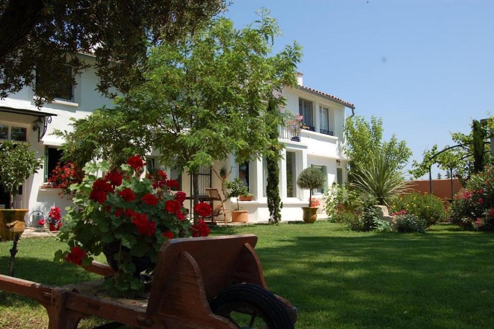 Chambre Seville - Mas Saint-Louis - Piscine Chauffee Aigues-Mortes Εξωτερικό φωτογραφία