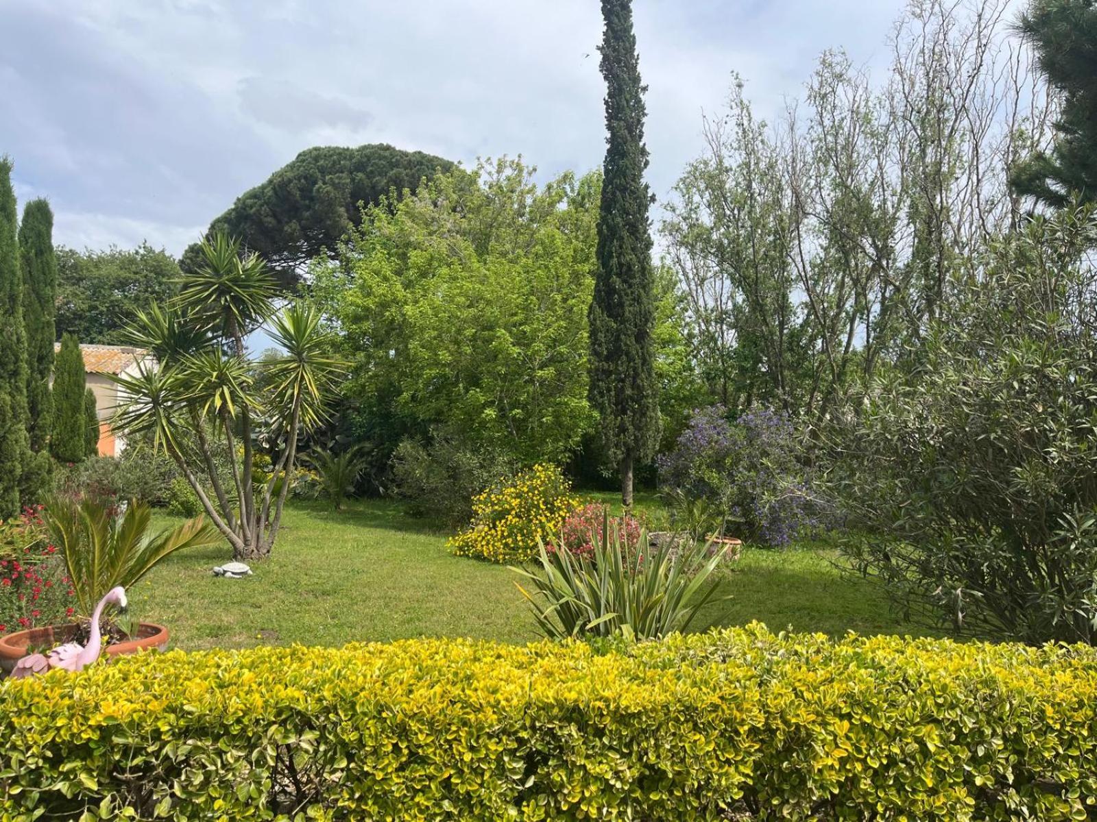 Chambre Seville - Mas Saint-Louis - Piscine Chauffee Aigues-Mortes Εξωτερικό φωτογραφία